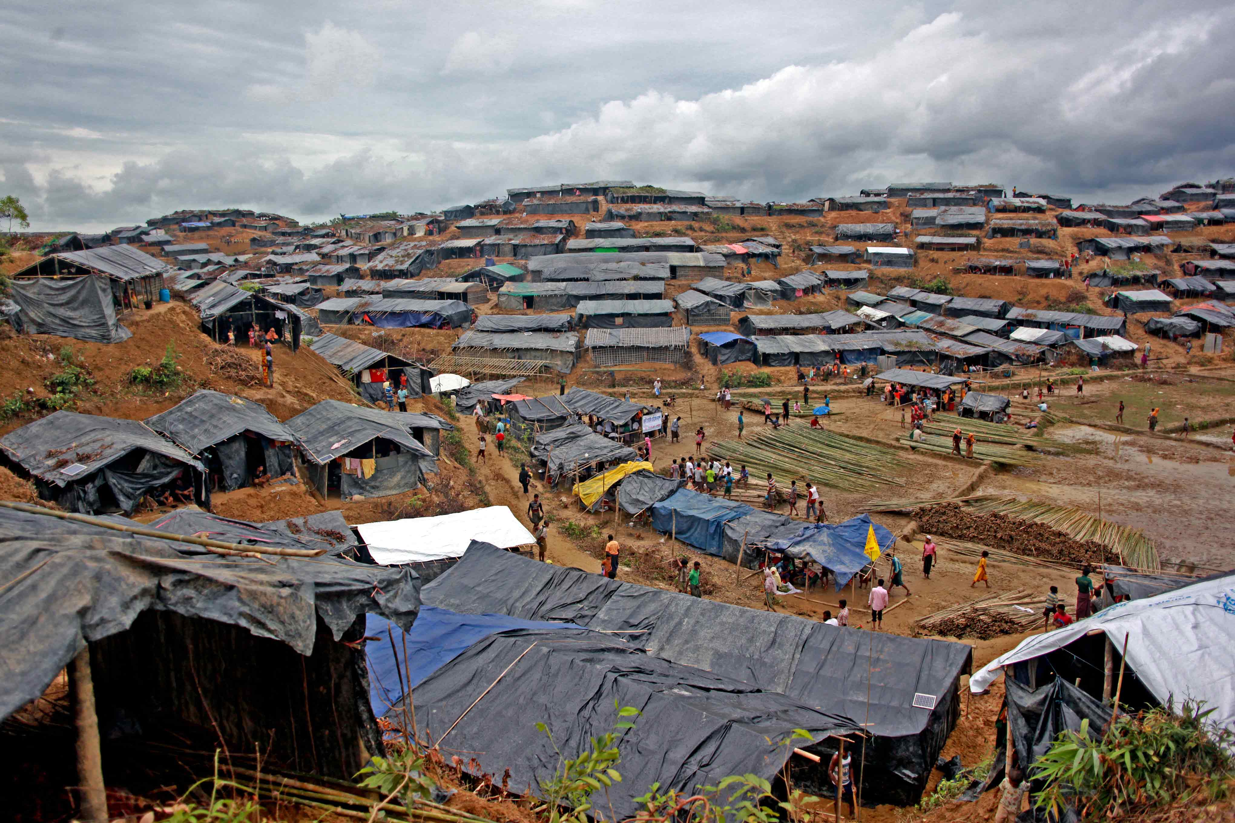 Rohingya Chronicles